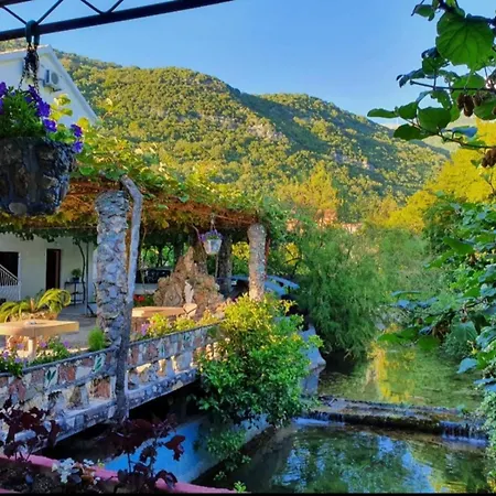 Radonjic Budva